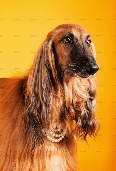 demo-attachment-2039-julio-bernal-pwRfs5IT6Go-unsplash